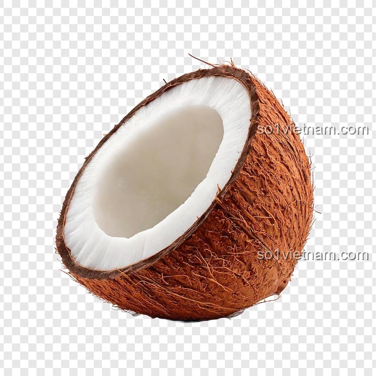 Kẹp tóc Nút bấm Coconut 7136 màu nâu, phụ kiện tóc độc đáo cho bé gái