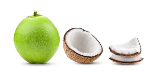 Kẹp tóc Nút bấm Coconut 7136 hình quả dừa độc đáo, màu sắc tươi sáng, phụ kiện tóc cho bé gái