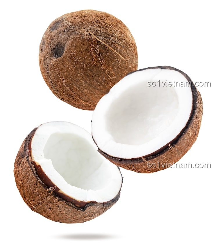 Kẹp tóc Nút bấm Coconut 7136 phụ kiện tóc dễ thương, phụ kiện tóc cho bé gái