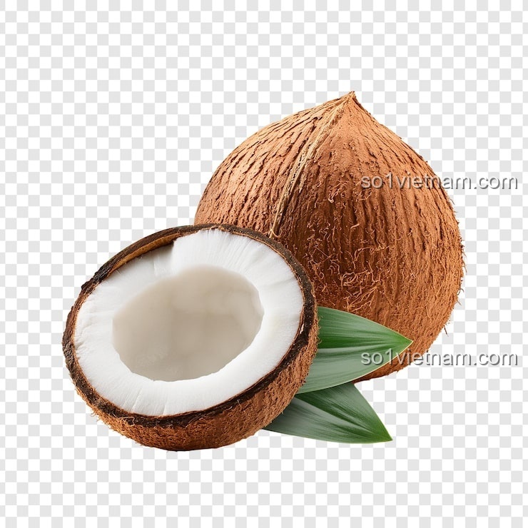 Kẹp tóc Nút bấm Coconut 7136 trang sức, phụ kiện tóc cho bé gái