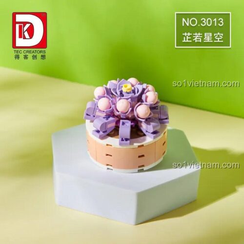 Mô hình chậu cây mọng nước DK 3013 sau khi lắp ráp hoàn chỉnh, đồ chơi mô hình Chậu cây Bầu Trời Sao tinh xảo.
