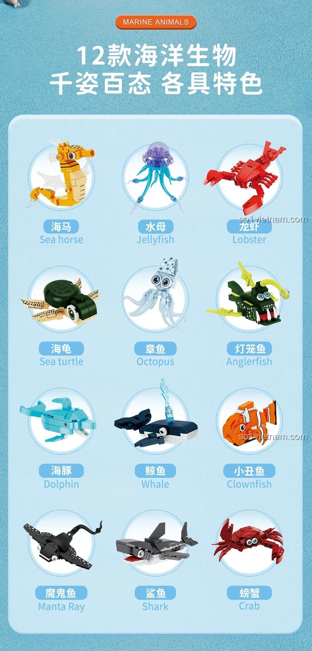 Sinh vật biển lắp ghép Forange FC8153, 12 mẫu sinh vật biển độc đáo, mỗi mẫu một đặc điểm riêng, Đồ chơi đại dương 8153 cho bé 6 tuổi.