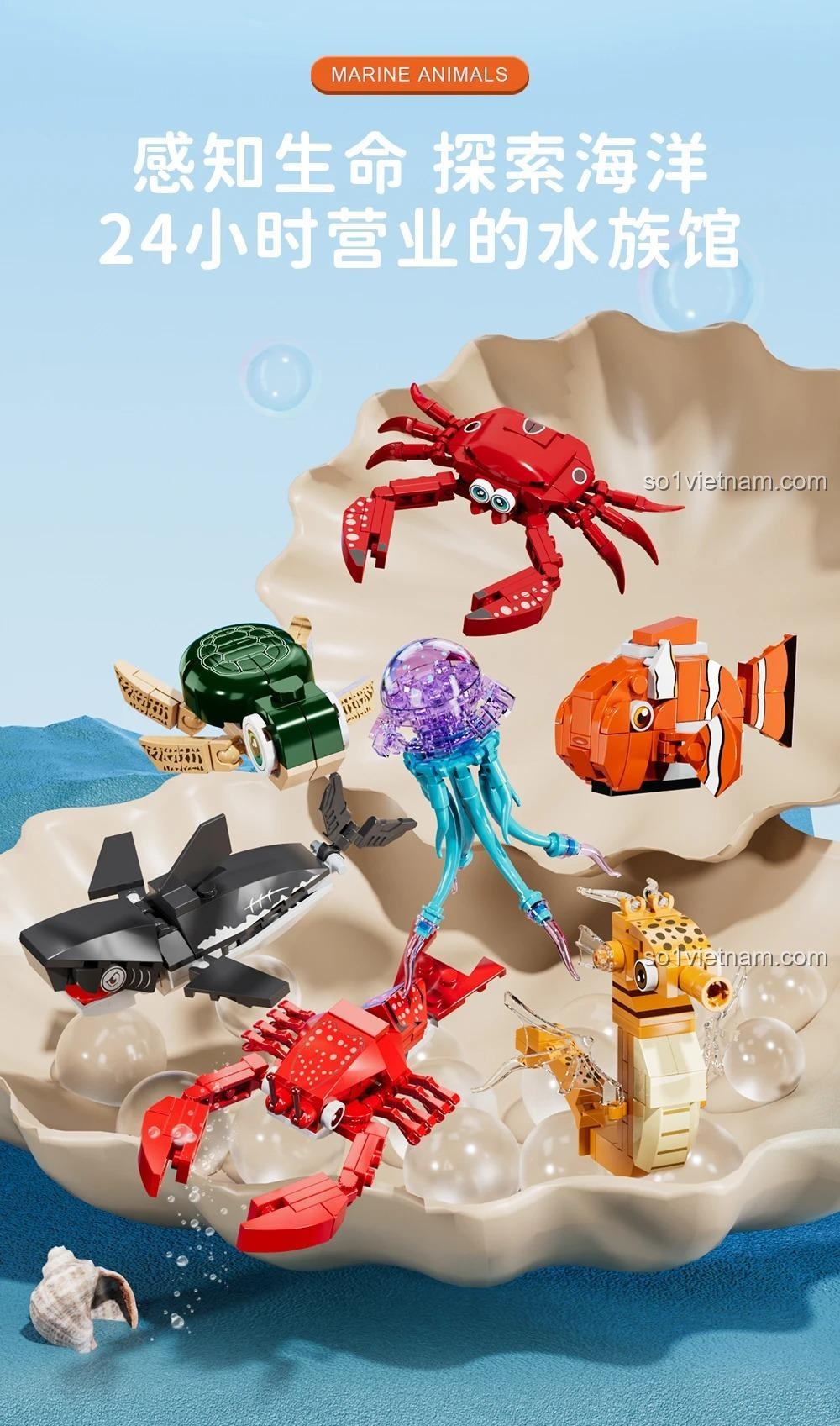 Đồ chơi mô hình 12 mẫu động vật biển Forange FC8153, bộ sưu tập động vật biển 8153, thủy cung 24h cho bé 6 tuổi.