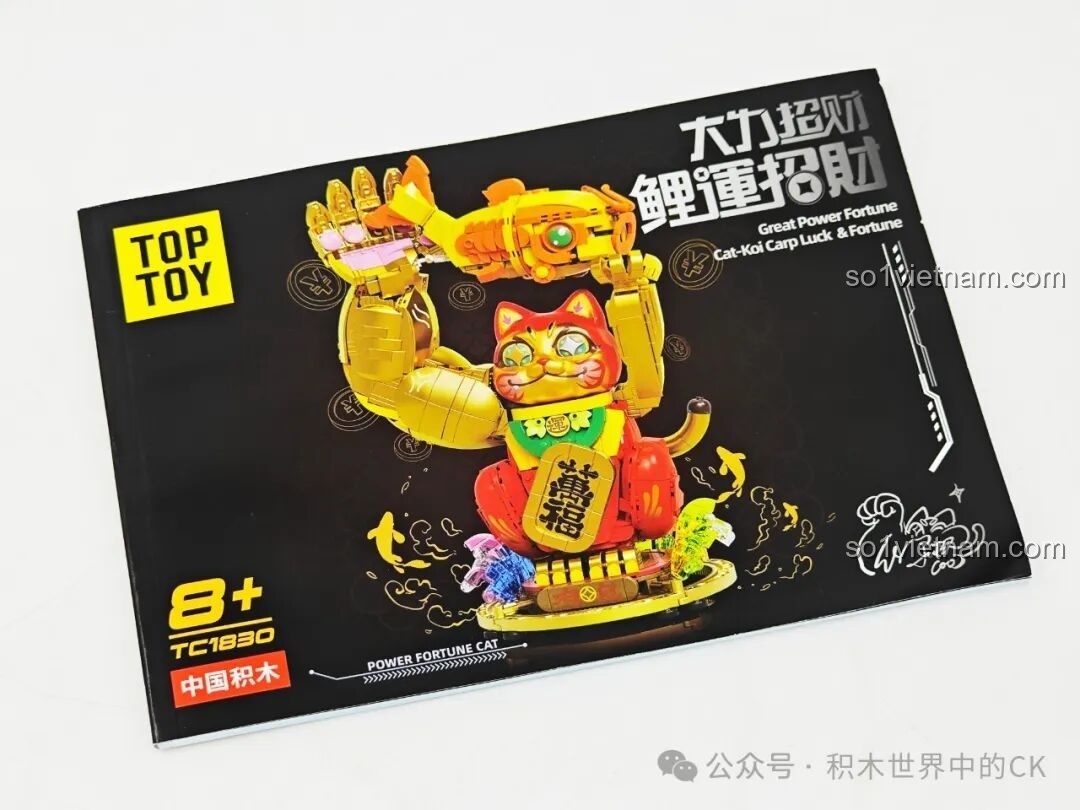 Cạnh bên khác của hộp TOP TOY TC1830 với hình ảnh phác thảo cấu trúc