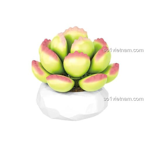 Mô hình cây mọng nước Bear's Paw inbrixx 655056, chi tiết sắc nét, đồ chơi xây dựng Đồ trang trí cây mọng nước, cho con gái 8 tuổi, chất lượng cao.