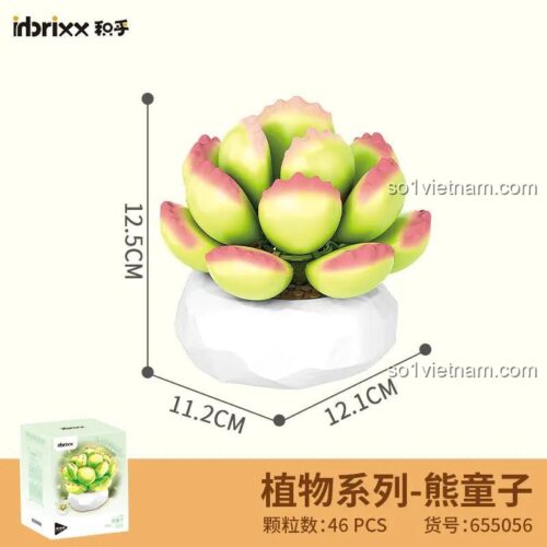 Hộp và kích thước mô hình cây mọng nước Bear's Paw inbrixx 655056, 46 mảnh ghép, bộ lắp ghép Mô hình cây mọng nước Bear's Paw, quà tặng con gái 8 tuổi, giá hời.