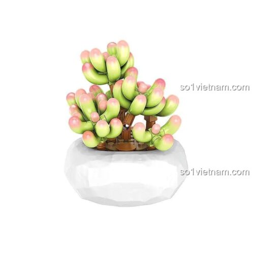 đồ chơi mô hình Cây Mọng Nước Lắp Ráp inbrixx 655062, chi tiết sắc nét, chất lượng cao cho bé gái 8 tuổi