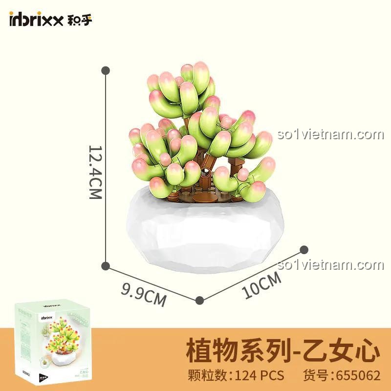 bộ đồ chơi Chậu Cây Mọng Nước inbrixx 655062, kích thước mô hình rõ ràng, phù hợp bé gái 8 tuổi, giá rẻ