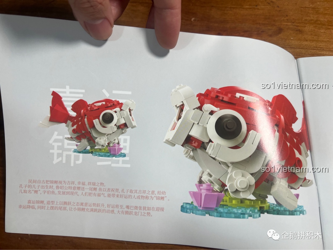 Lắp ráp phần đế của mô hình Cá Chép Vận May JAKI, mô phỏng mặt nước và hoa sen.