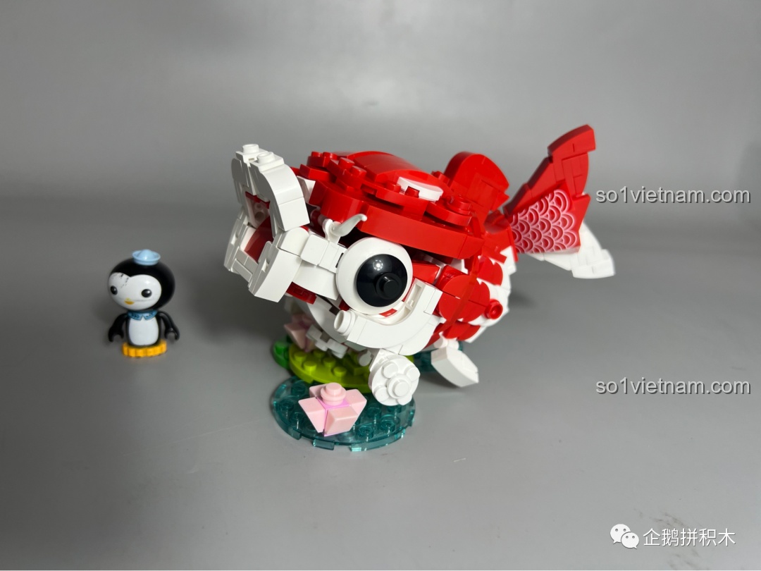 Mô hình Cá Chép Vận May JAKI nhìn từ phía trước, nổi bật với màu đỏ và trắng.