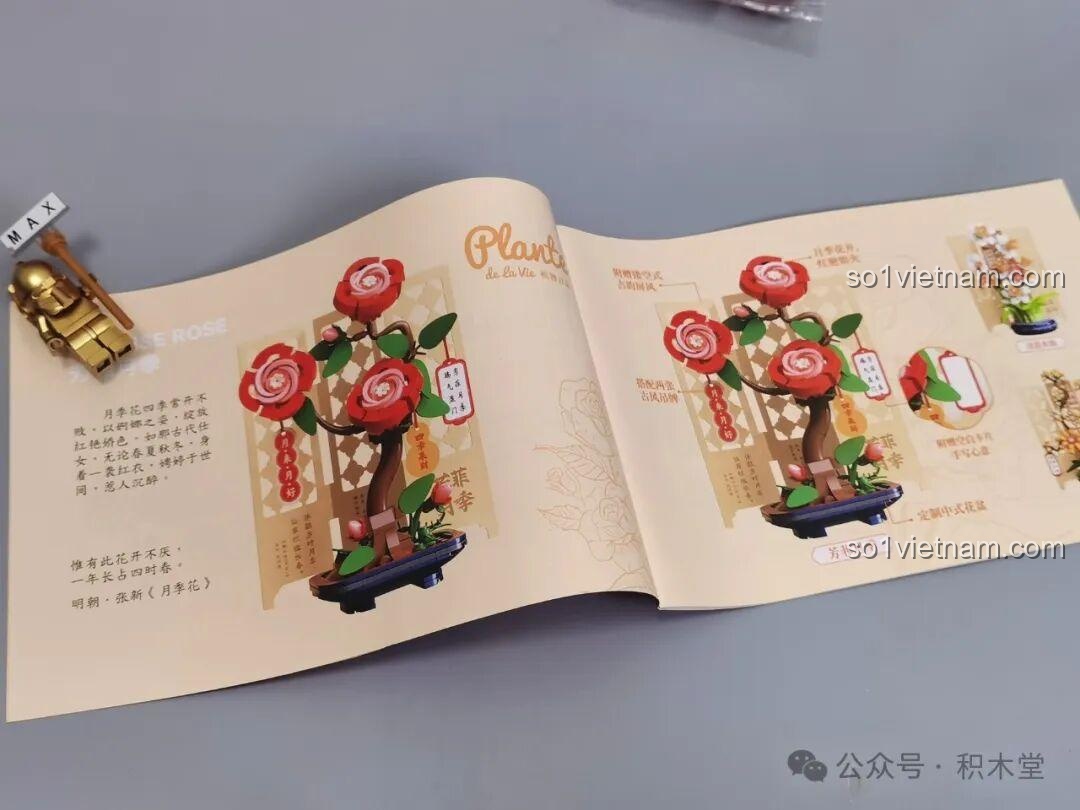 Bộ Lắp Ghép Hoa Thủy Tiên JAKI DK002 - Các hộp sản phẩm bên cạnh nhau với màn hình