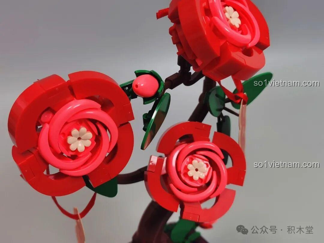 Bộ Lắp Ghép Hoa Thủy Tiên JAKI DK002 - Các hộp sản phẩm với màn hình trang trí và các mẫu hoa bên cạnh nhau với các màn hình trang trí và các mẫu hoa và các màn hình trang trí