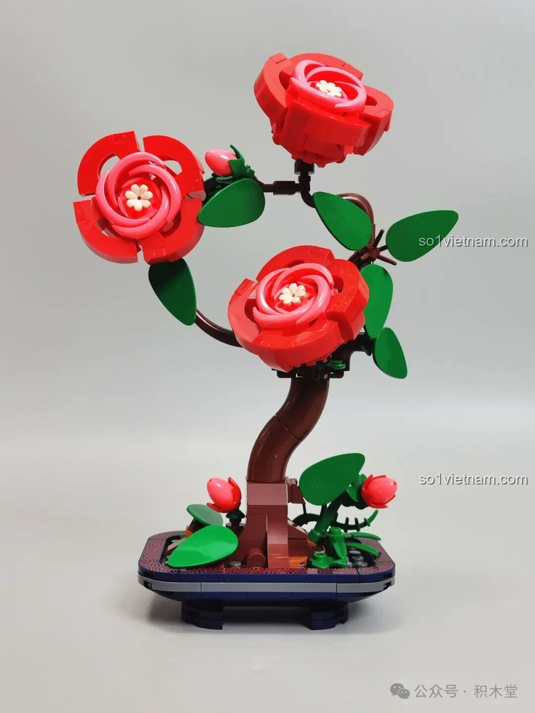 Bộ Lắp Ghép Hoa Thủy Tiên JAKI DK002 - Các hộp sản phẩm với màn hình trang trí và các mẫu hoa bên cạnh nhau với các màn hình