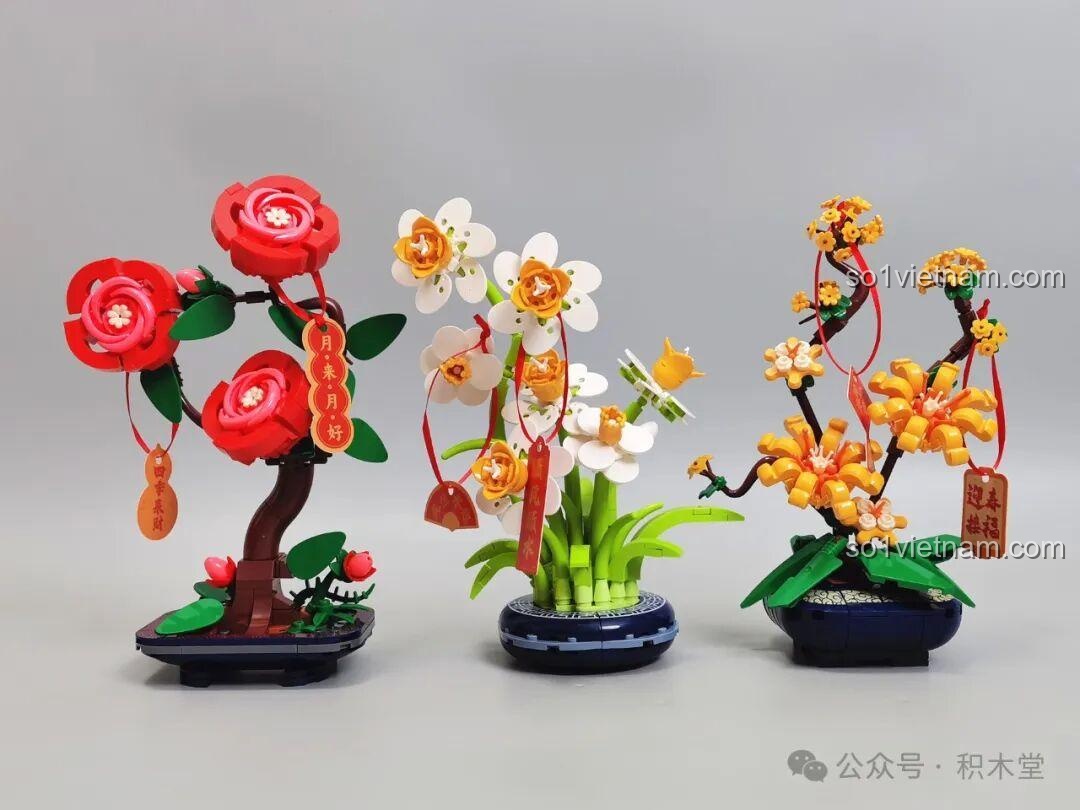 Hoàn thành bộ lắp ghép Lão Mai JAKI (lần 1)
