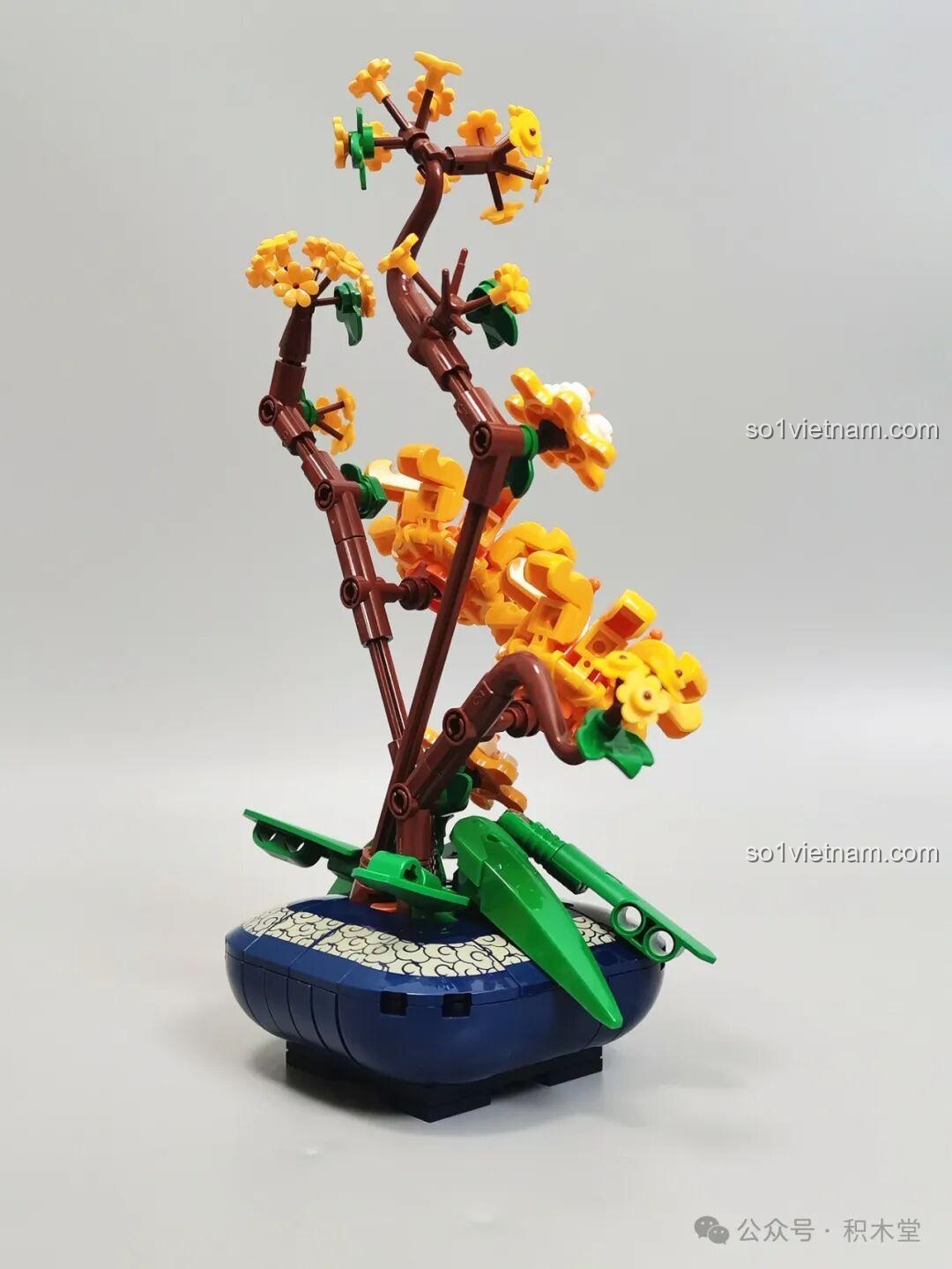 Sách hướng dẫn lắp ráp bộ Lão Mai JAKI