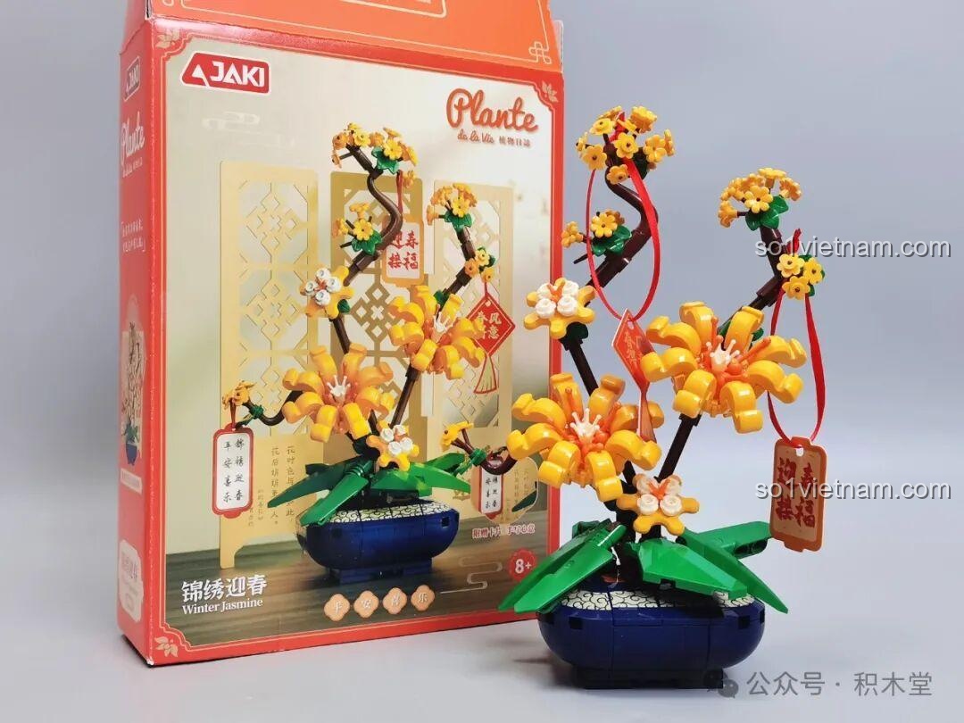 Chi tiết chậu hoa Lão Mai JAKI