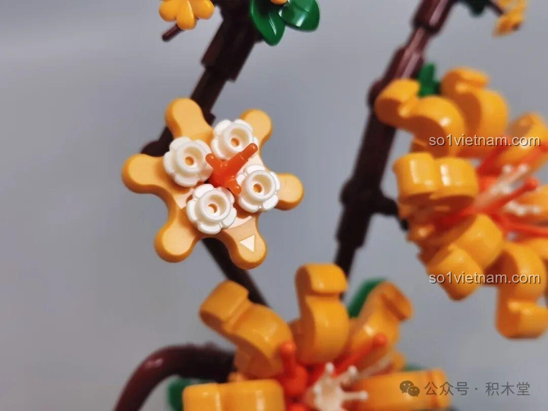 Chi tiết thân cây Lão Mai JAKI