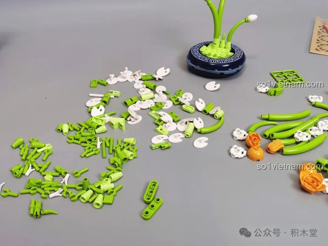 Cận cảnh bông hoa Thủy Tiên JAKI (lần 1)