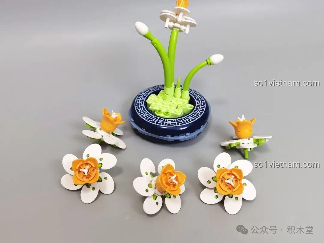 Cận cảnh bông hoa Thủy Tiên JAKI (lần 2)