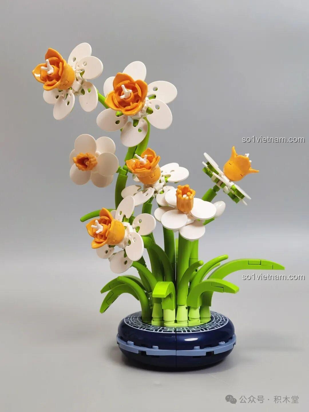 Cận cảnh bông hoa Thủy Tiên JAKI (lần 3)