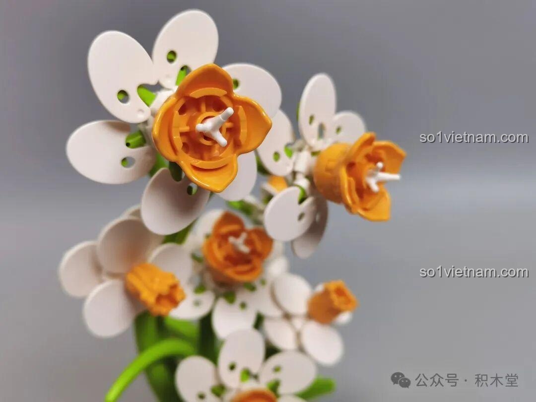 Hoàn thành bộ lắp ghép Thủy Tiên JAKI (lần 1)