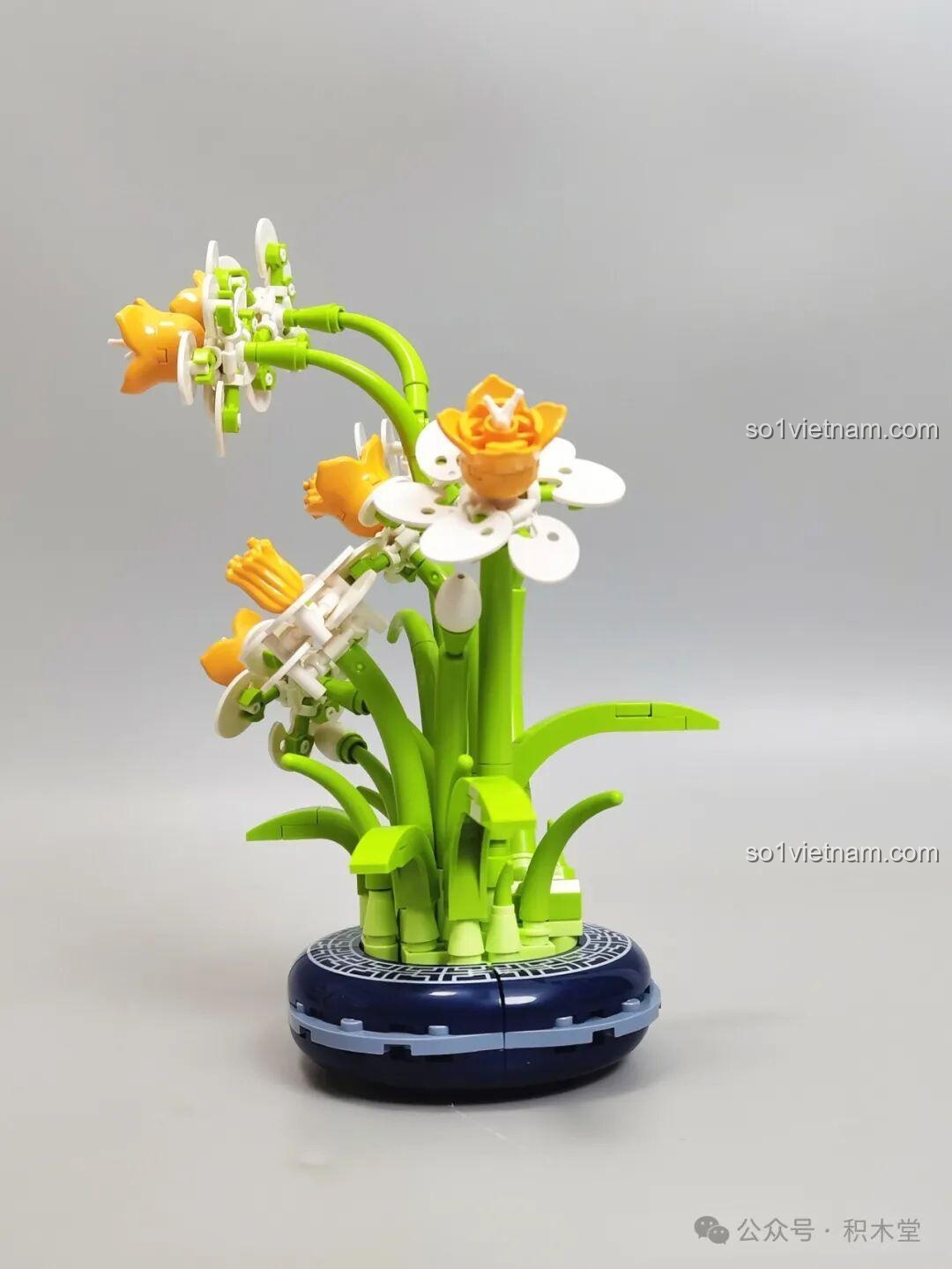 Chi tiết lá cây bộ Thủy Tiên JAKI