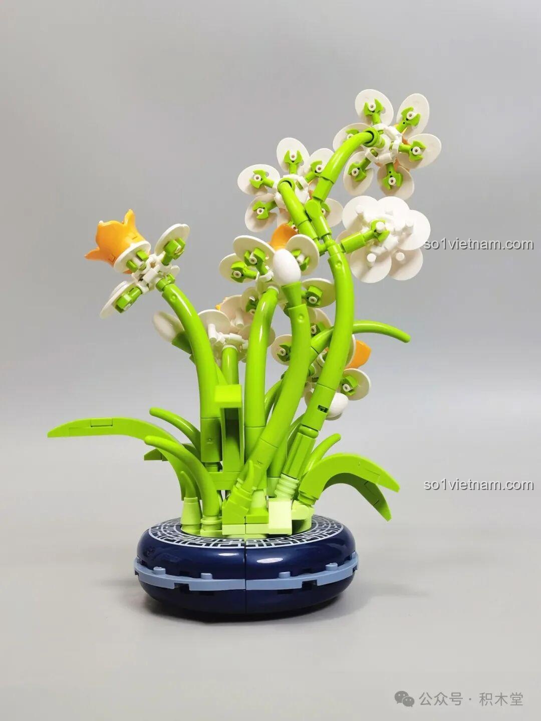 Chi tiết chậu hoa Thủy Tiên JAKI