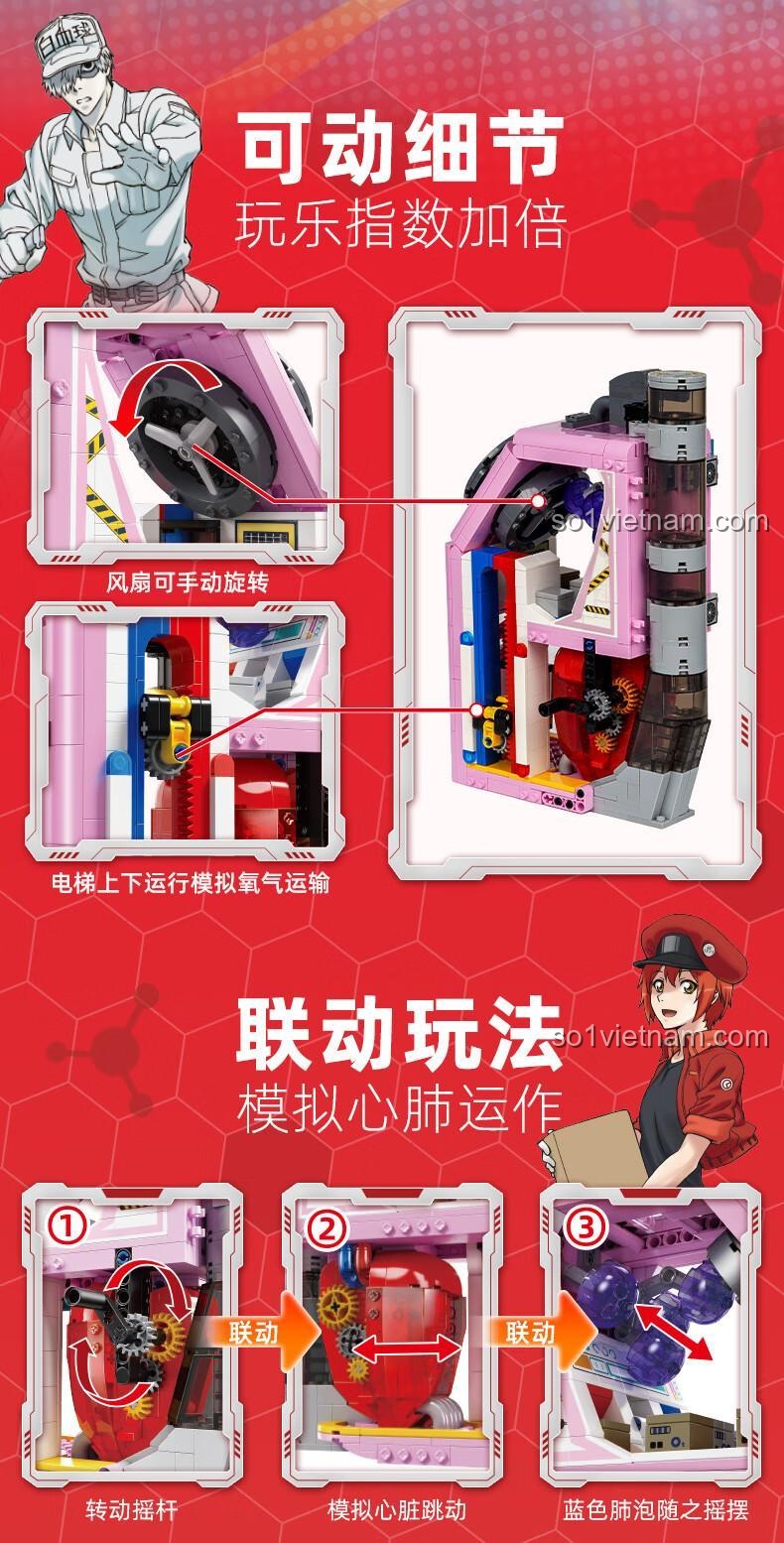 Chi tiết tính năng chuyển động của đồ chơi mô hình Tuần Hoàn Máu 32002, mô phỏng tim đập và phổi thở, chất lượng cao.