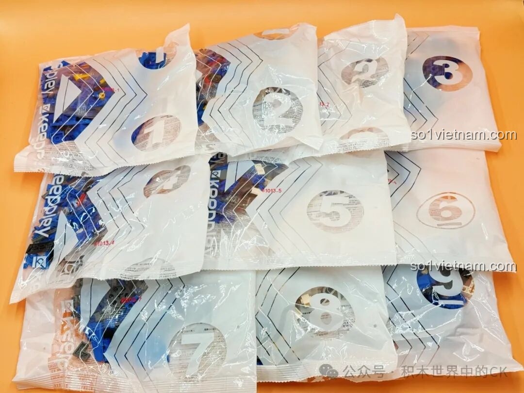 Sách hướng dẫn lắp ráp Keeppley Hắc Long Cơ Thần