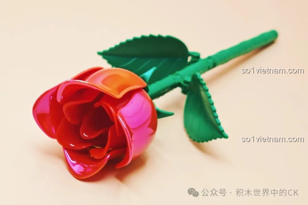 Quá trình lắp ghép bông hoa hồng ZHEGAO - Bước 1