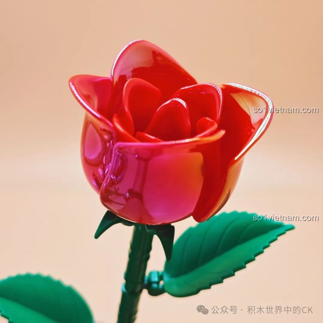 Quá trình lắp ghép bông hoa hồng ZHEGAO - Bước 3