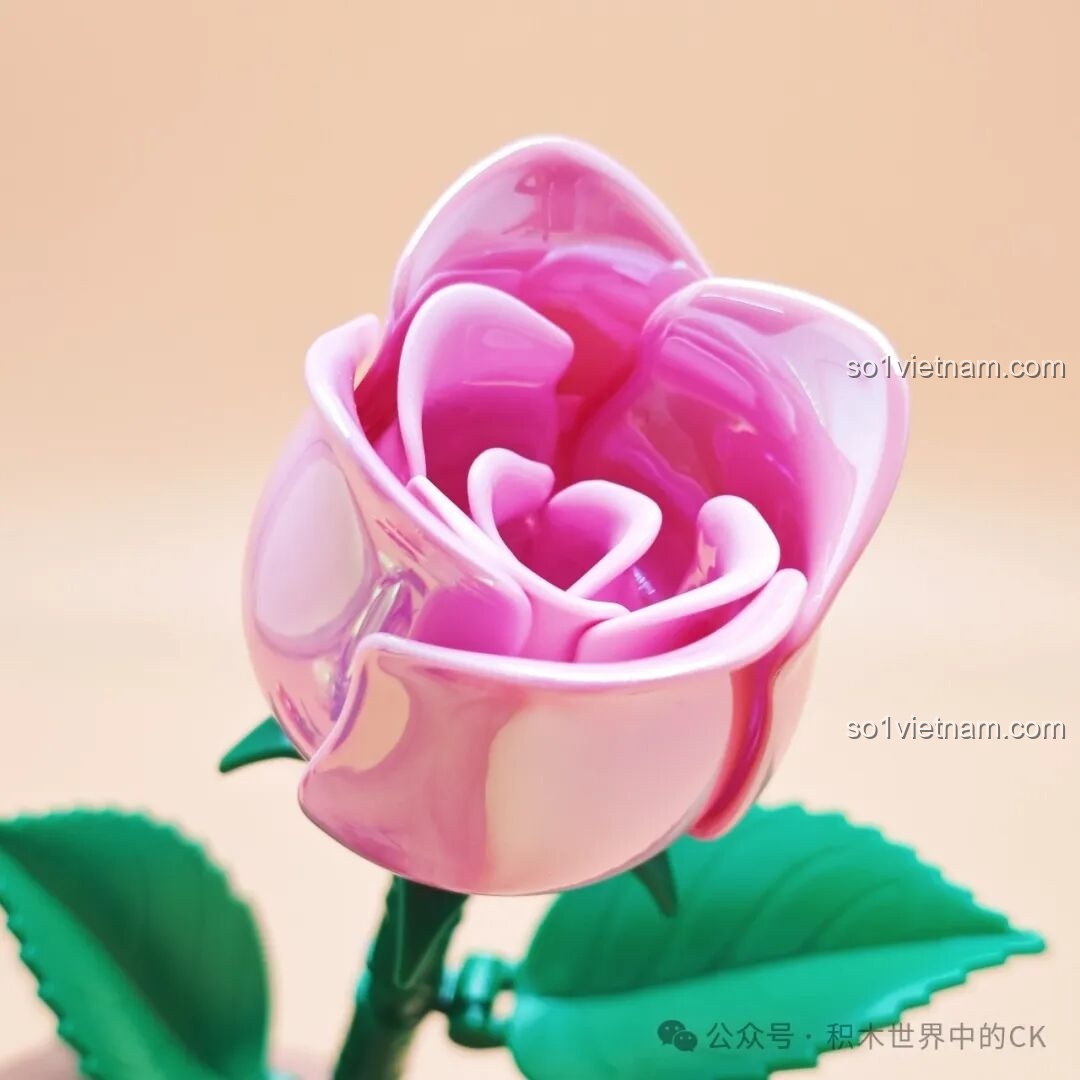 Quá trình lắp ghép bông hoa hồng ZHEGAO - Bước 4