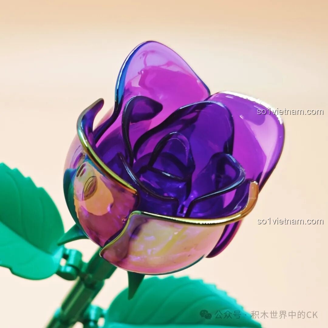 Quá trình lắp ghép bông hoa hồng ZHEGAO - Bước 5