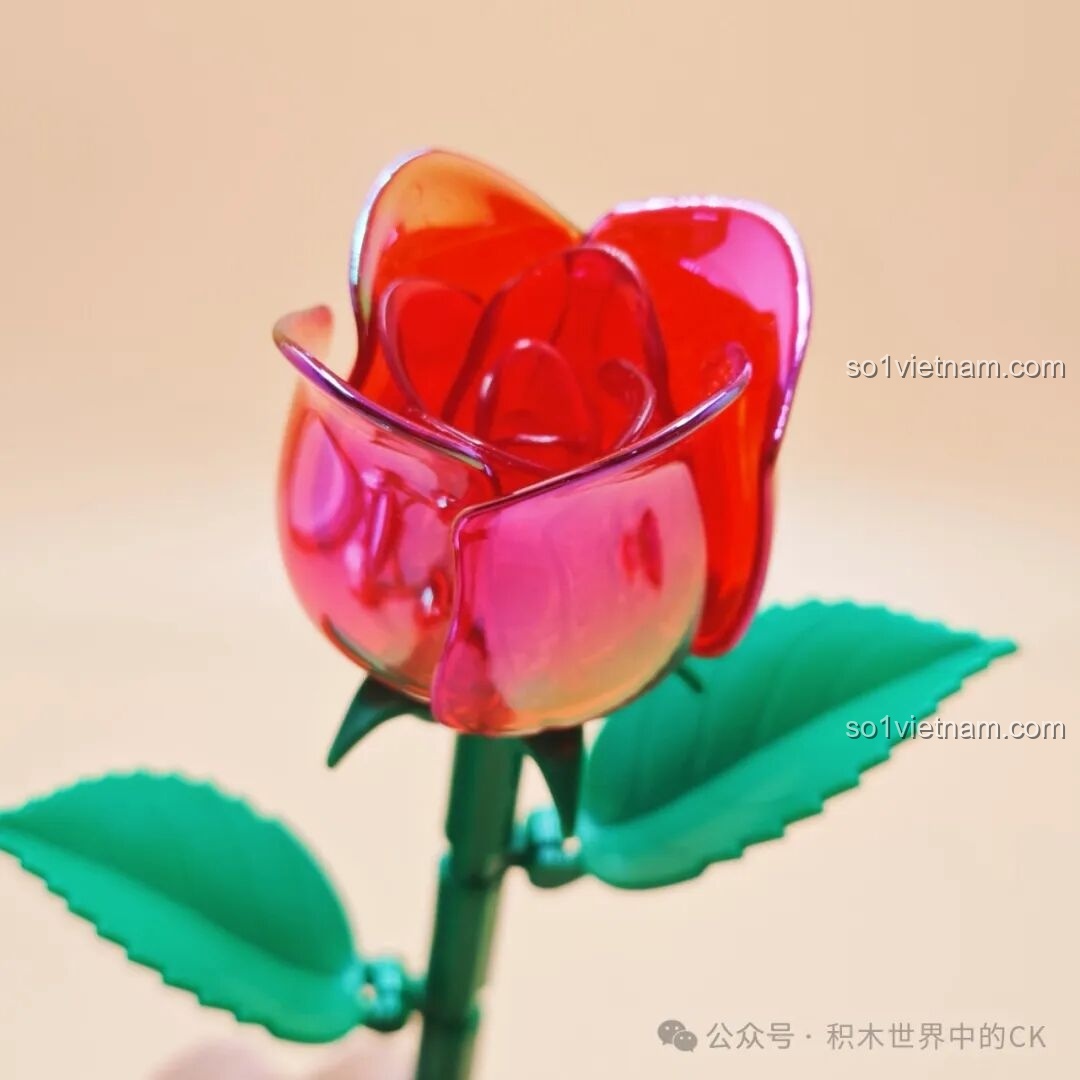 Quá trình lắp ghép bông hoa hồng ZHEGAO - Bước 6