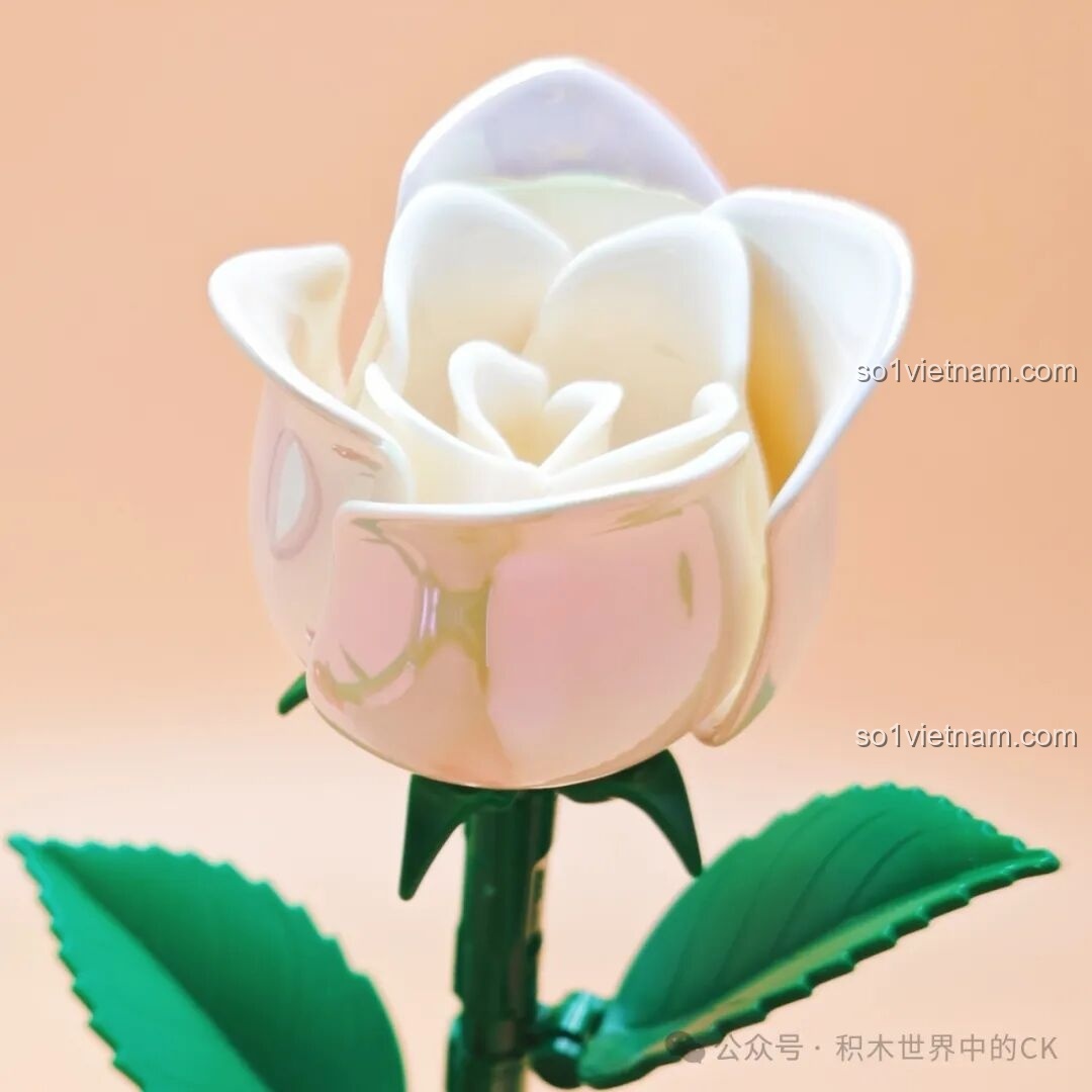 Quá trình lắp ghép bông hoa hồng ZHEGAO - Bước 7