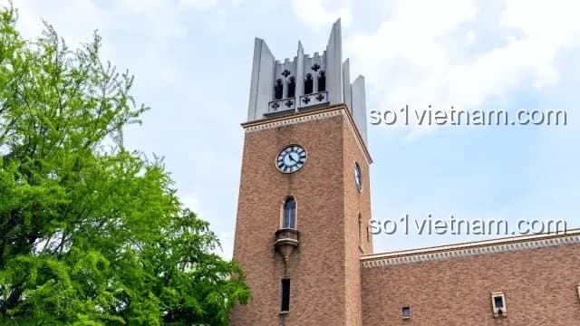 Bộ lắp ghép Lều Cắm Trại 8 Mẫu 乐毅积木 72020 - Khám phá thiên nhiên, Lắp được 8 mẫu, Đồ chơi giáo dục cho bé 6 tuổi