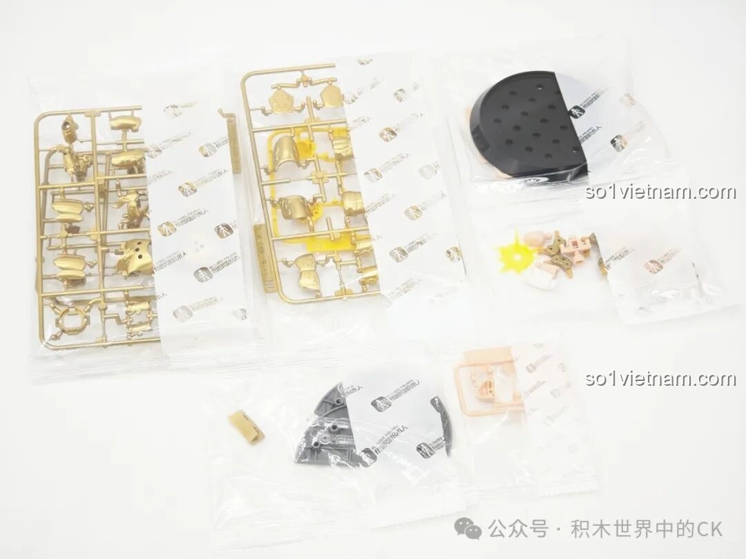 Các bộ phận của mô hình Leo Aiolia BLOKEES được đóng gói trong túi zip
