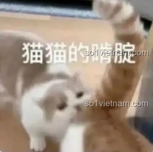 Mô hình Mech Hạ Hầu Đôn Vô Cực Cuồng Phong TOP TOY TC2407 đang được lắp ráp.