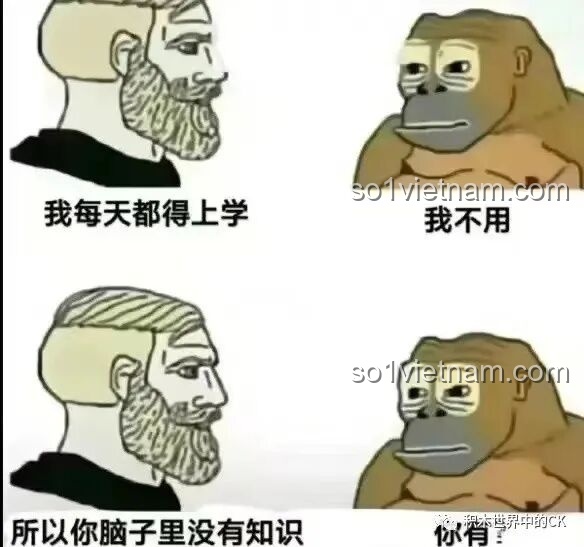 Meme hài hước về việc học tập và kiến thức, không liên quan đến bộ lắp ghép Đèn Bàn Cổ Điển ZHEGAO 00398.