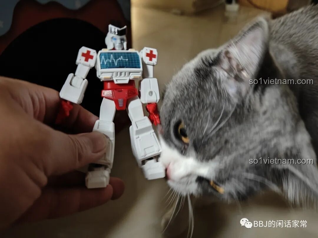 Một chú mèo xám dễ thương đang tò mò lại gần và ngửi figure Ratchet BLOKEES 71100, tạo nên một khoảnh khắc đời thường đáng yêu.
