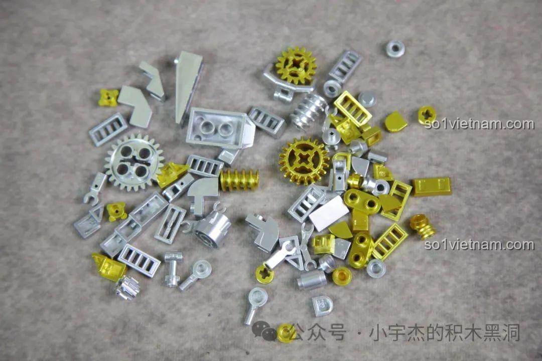 Mặt sinh học của thân khủng long Triceratops trong bộ MJ 13051.