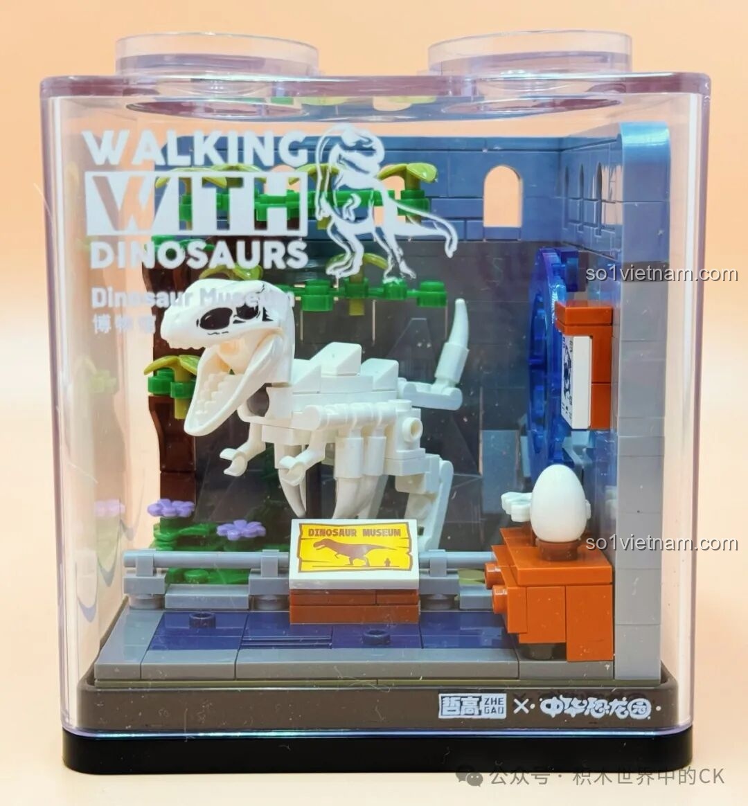 Mô hình ZHEGAO 971014 Bảo Tàng Khủng Long sau khi lắp ráp hoàn chỉnh, trưng bày bộ xương T-Rex ấn tượng.