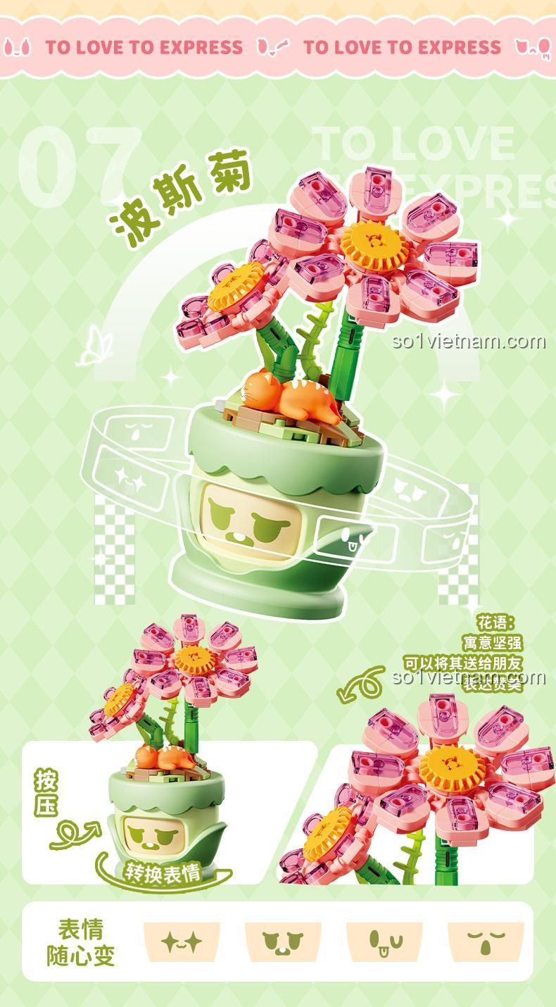 Bộ Lắp Ghép Chậu Hoa Cúc Tím "Tình Cảm Hoa Ngữ" 804429 - Moon Wonder - Mẫu 07 Ba Tư Cúc