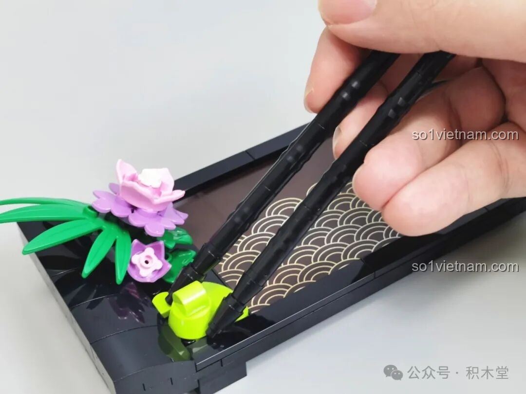 Chi tiết miếng sushi mẫu TC2320