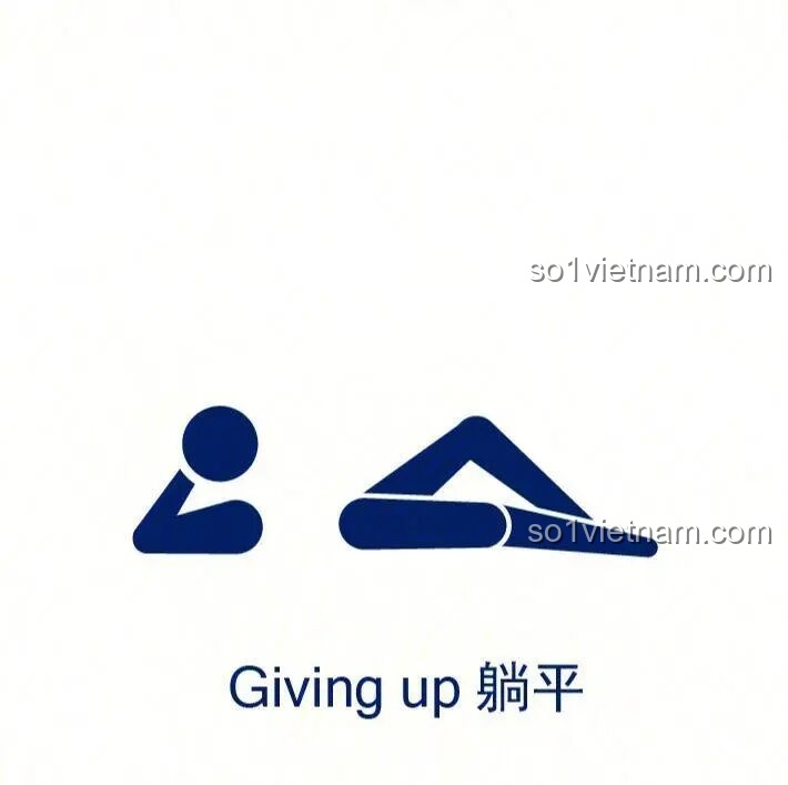 Cận cảnh vỏ đao của Decool 11008 Thất Tinh Bảo Đao, với các chi tiết vàng gold và xanh ngọc trên nền đỏ.