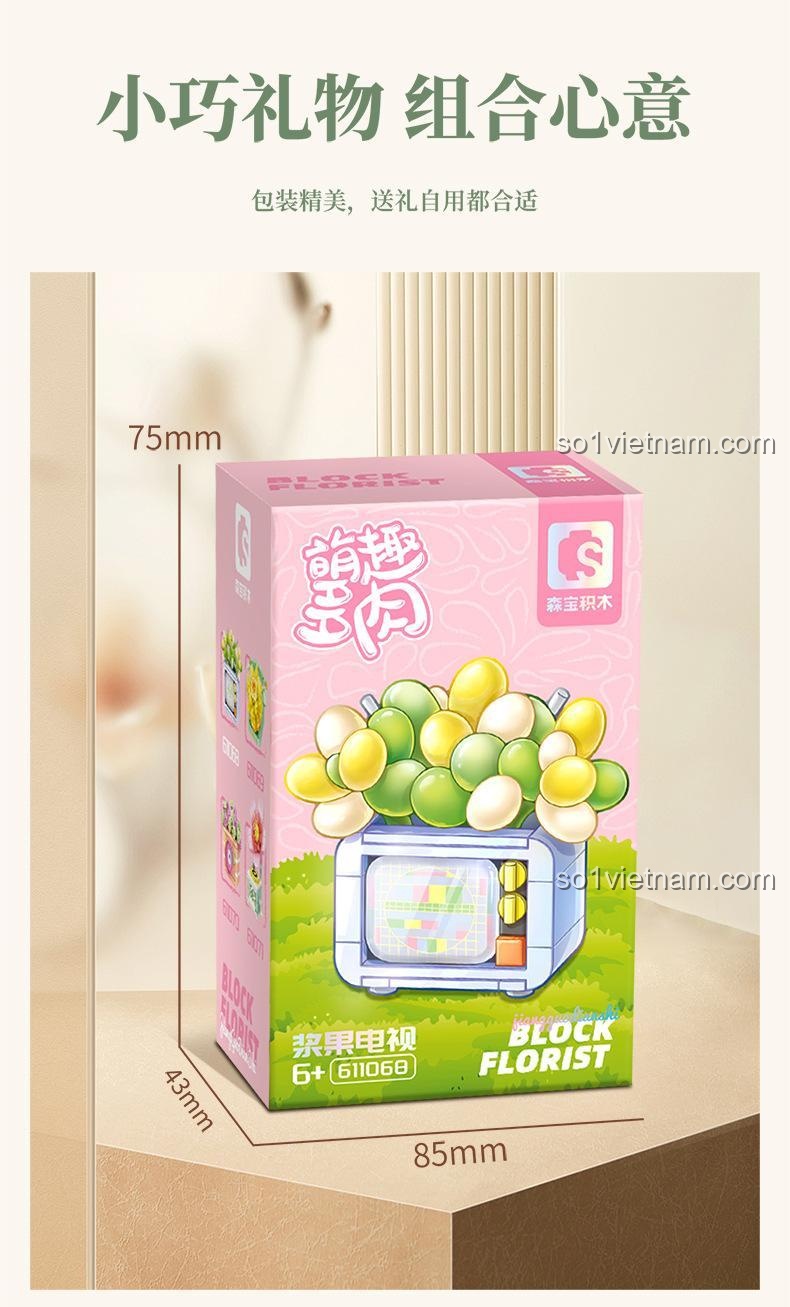Hộp đồ chơi lắp ghép SEMBO 611068 TV retro trồng cây mọng nước, quà tặng nhỏ gọn