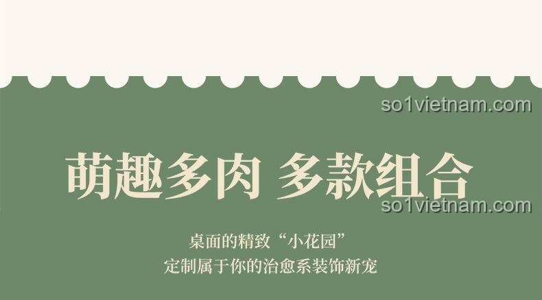 Bộ lắp ghép SEMBO Máy ảnh retro trồng cây mọng nước và nhiều mẫu kết hợp độc đáo