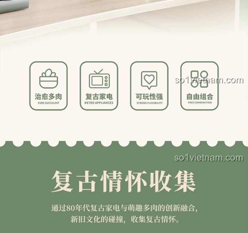 Tính năng nổi bật của bộ lắp ghép 611070 Máy ảnh retro trồng cây mọng nước: chữa lành, đồ gia dụng retro, khả năng chơi cao, kết hợp tự do