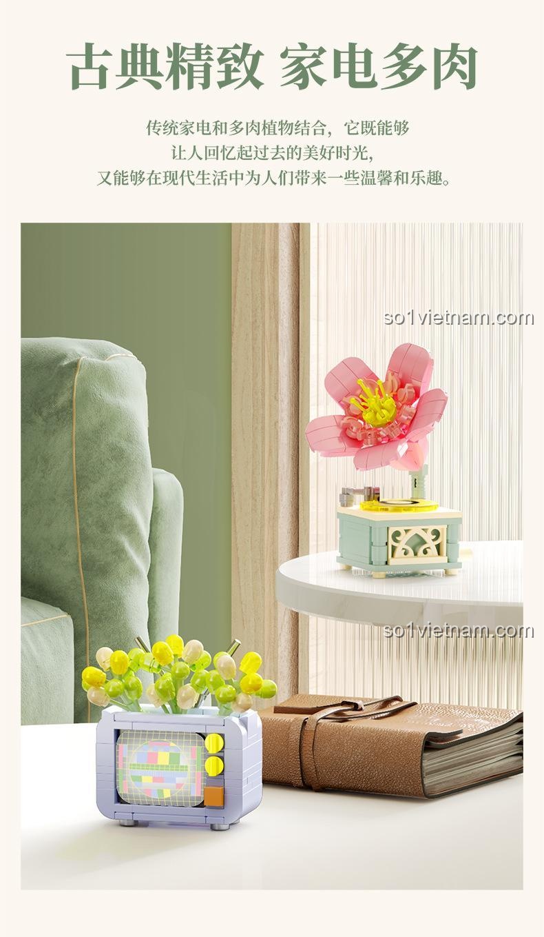 Đồ trang trí máy ảnh vintage 70 Máy ảnh retro trồng cây mọng nước trong không gian sống