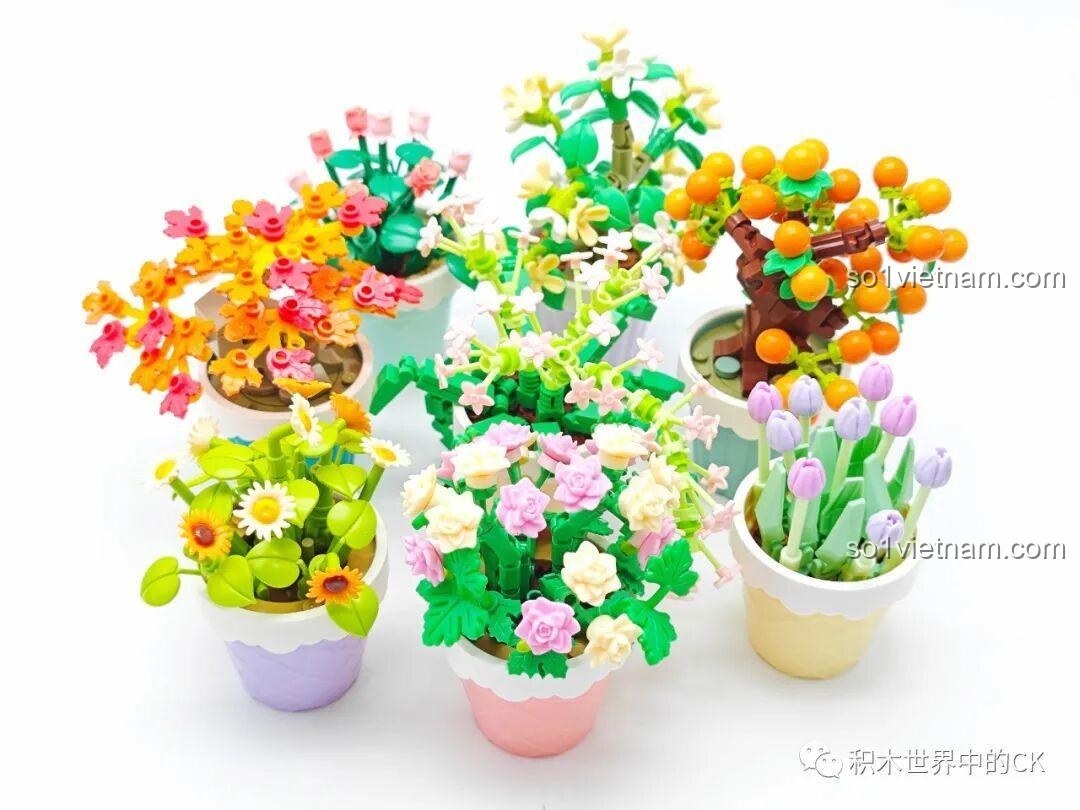 Toàn cảnh bộ sưu tập 6 trong 8 chậu cây lắp ghép Sembo được trưng bày cùng nhau, tạo nên một góc trang trí rực rỡ.